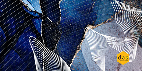 Segui la diretta streaming