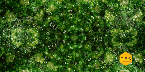 In corso la quinta edizione di das dialoghi artistici sperimentali