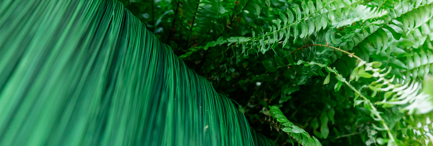 Labirinto_innesti armonici