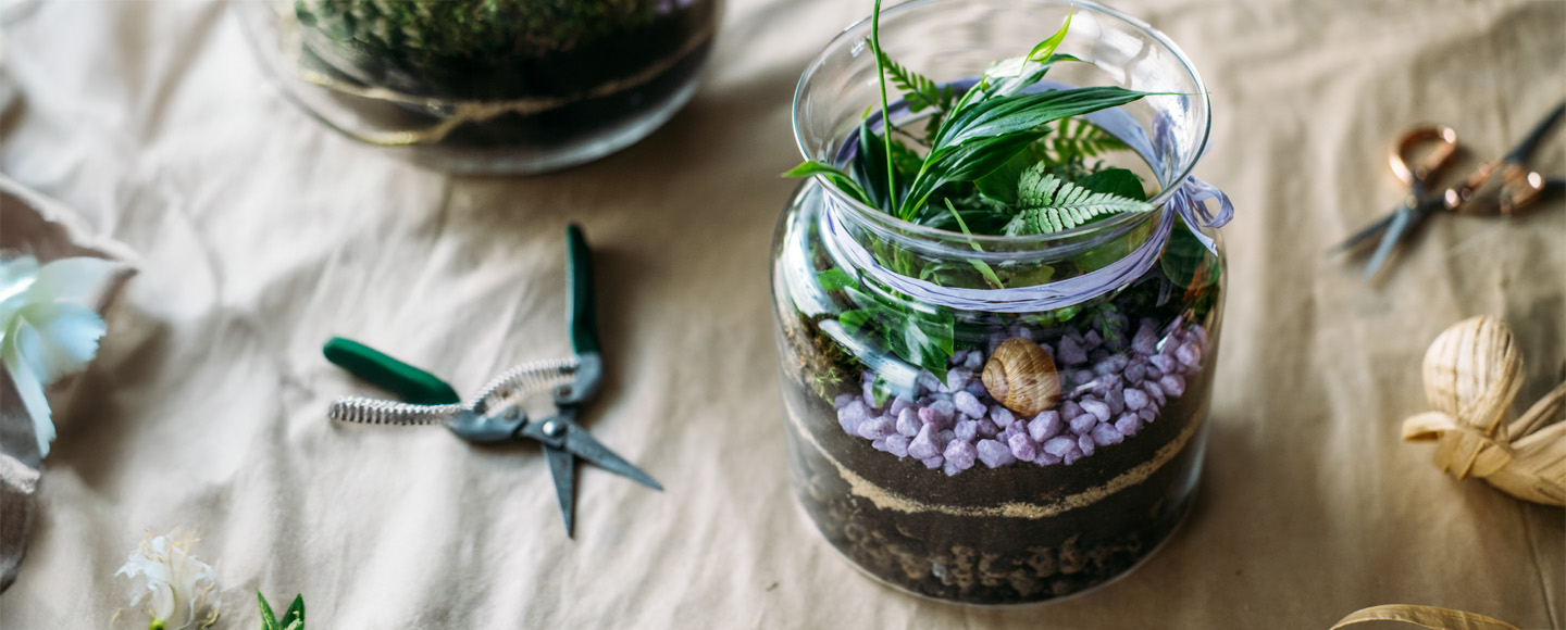 Terrarium e Kokedama
