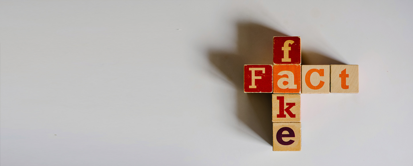 Fake news and digital civic education