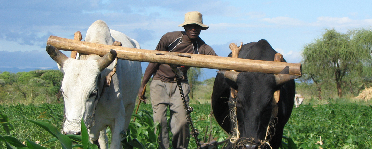 Le 3 C. Cibo, Carrello e Comunicazione