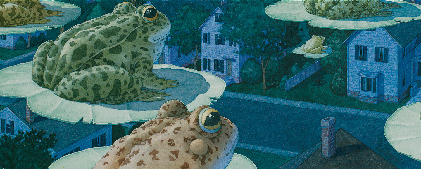 David Wiesner at CUBO