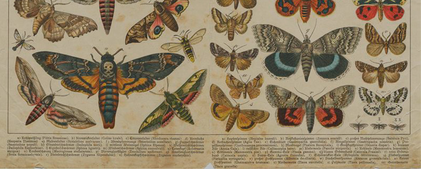 Heritage between physical and digital