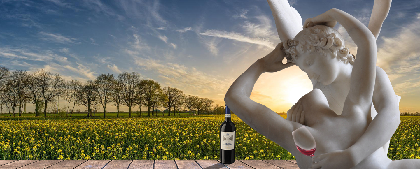 Humans and Wine, Life and Vines