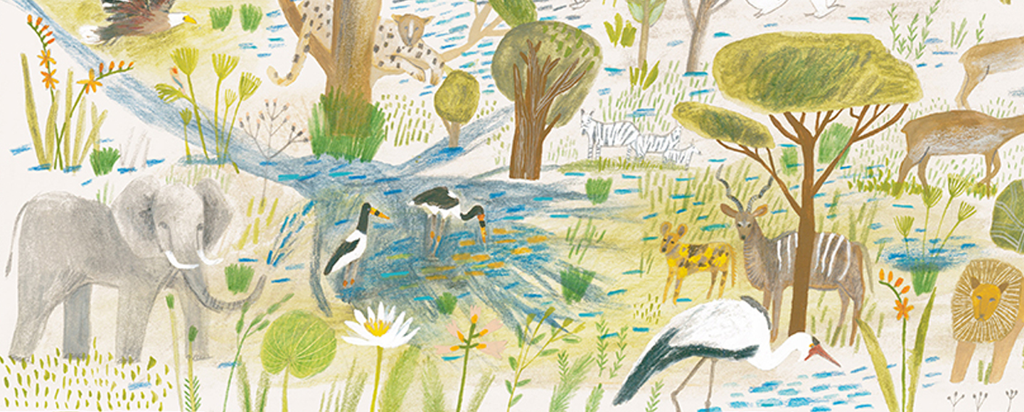 The journey of an image