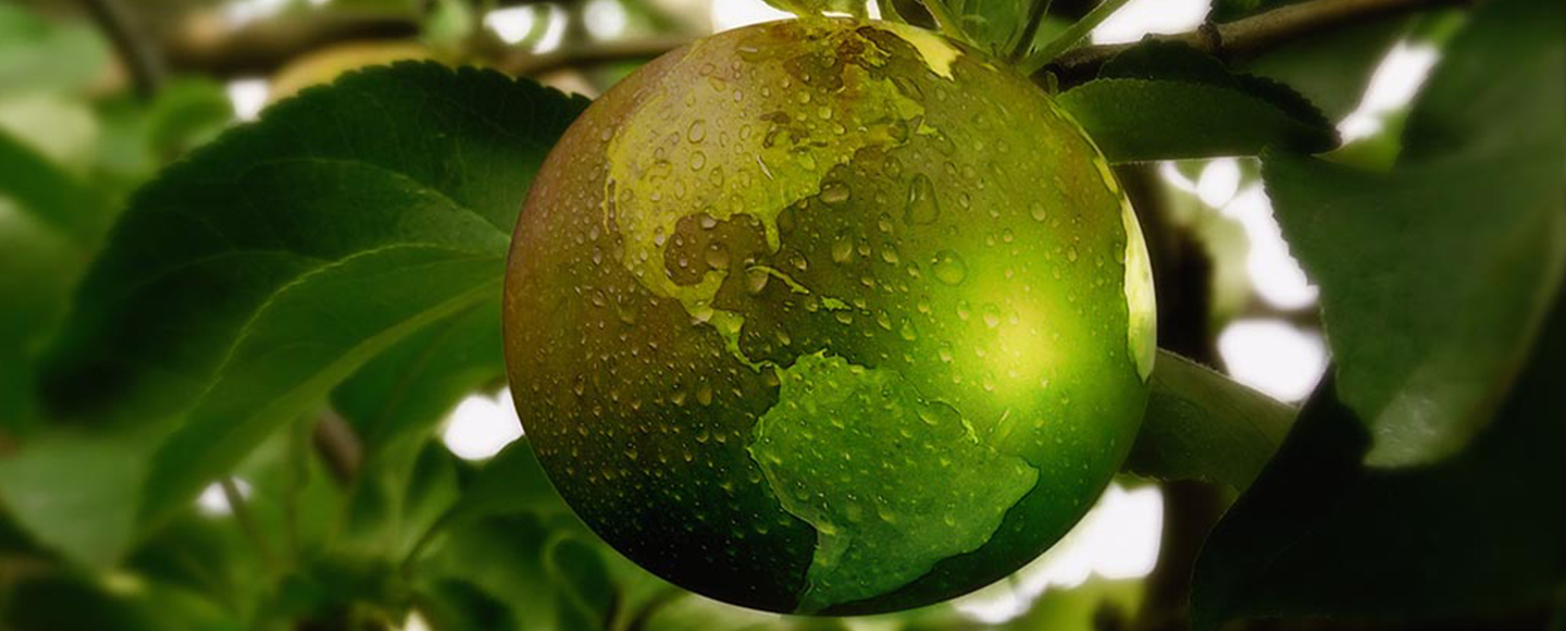 Sustainability stories