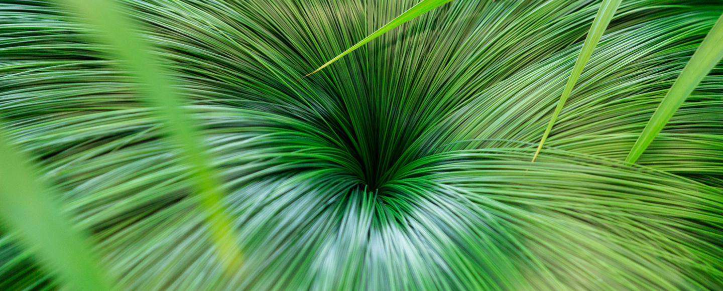 Labirinto [Labyrinth]