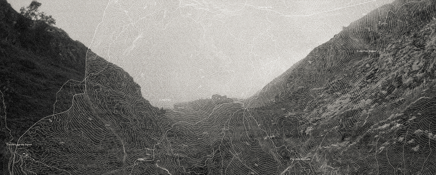 La natura (non) ama nascondersi