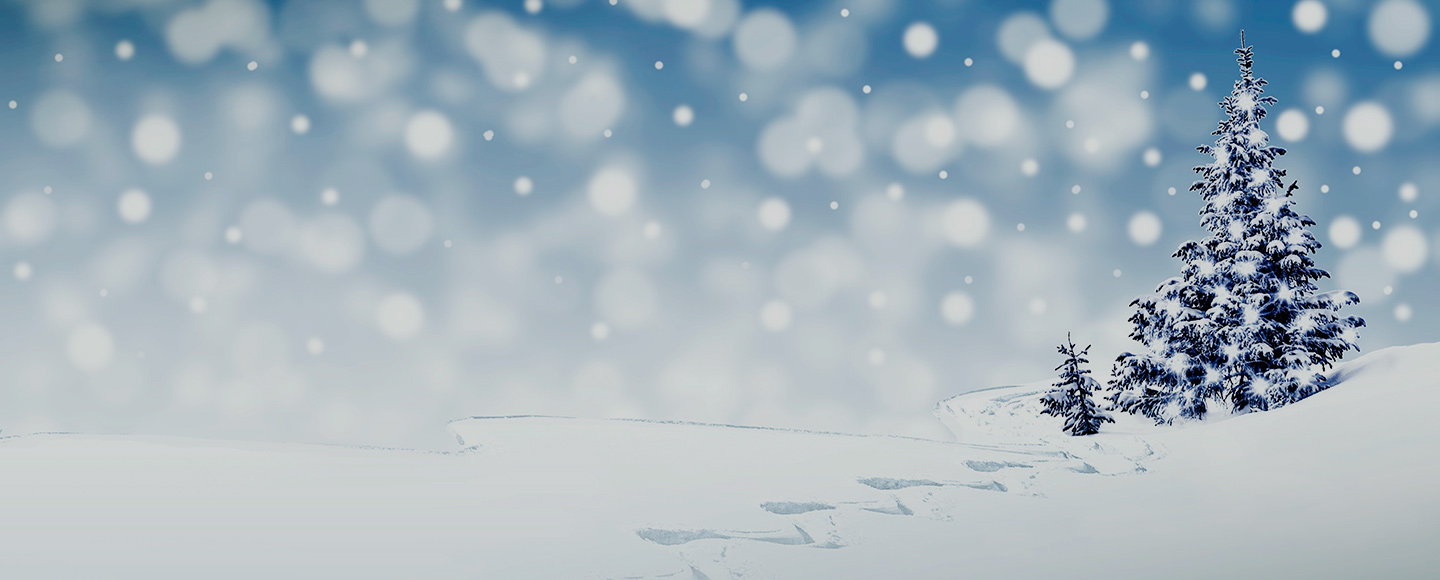 Auguri di buone feste