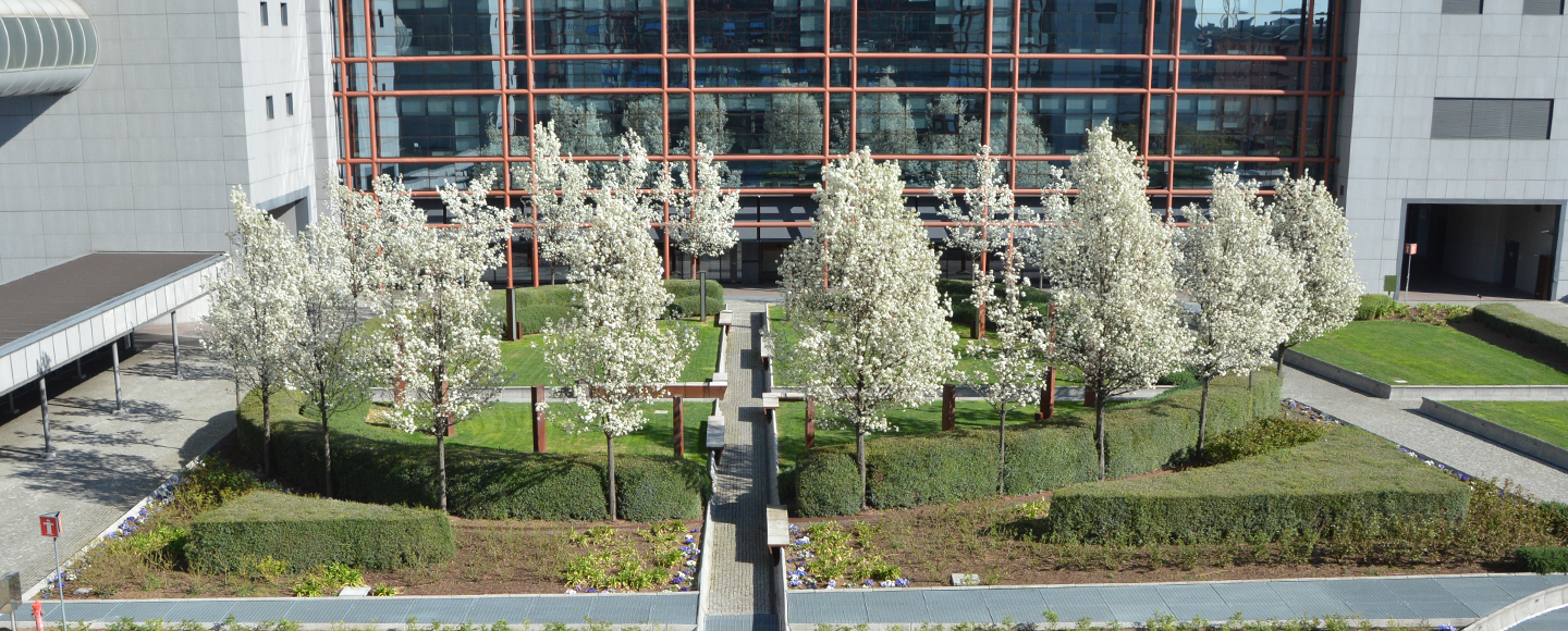 Informazioni sulle attività